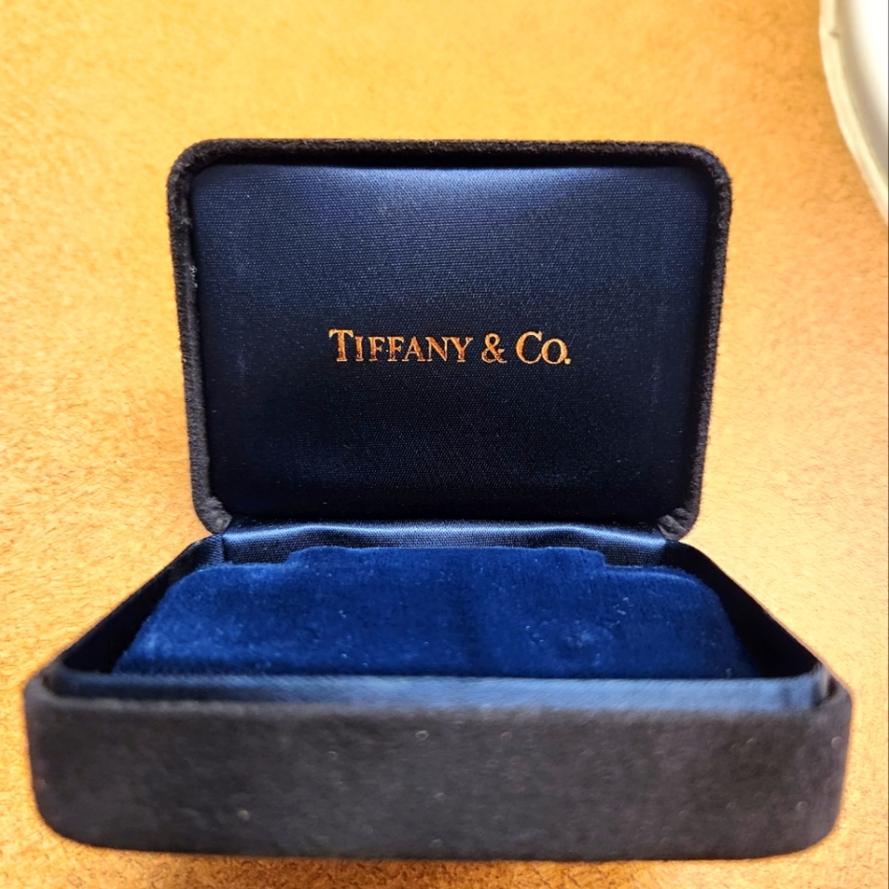 Tiffany & Co Suede Earring Box